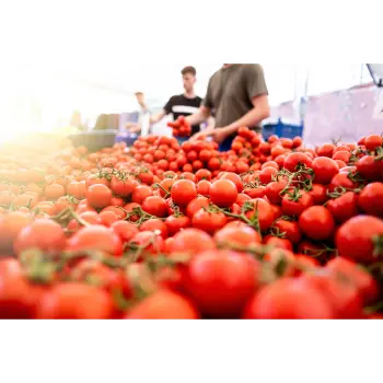 Tomato (19)-4102404-92744.webp
